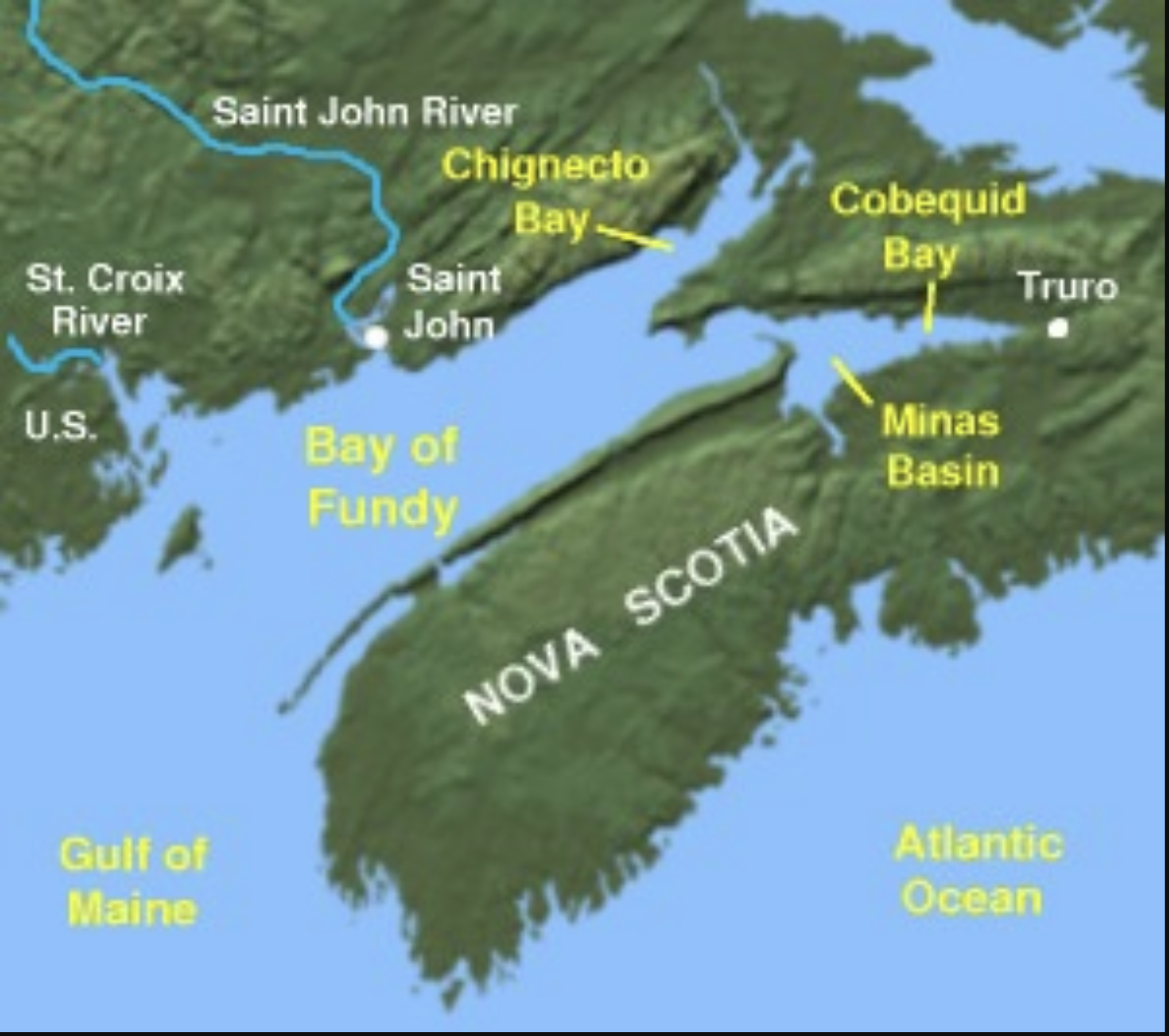 Nova Praia Fluvial Na Baía Do Fundy No Canadá Com Terreno